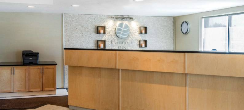 舒适酒店(Comfort Inn)图片