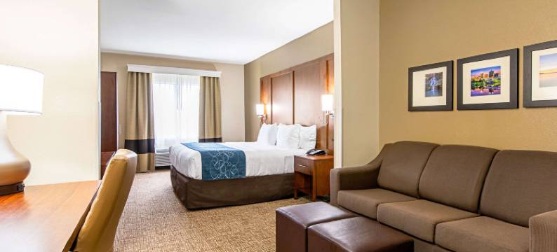 派恩布鲁夫舒适套房酒店(Comfort Inn & Suites Pine Bluff)图片