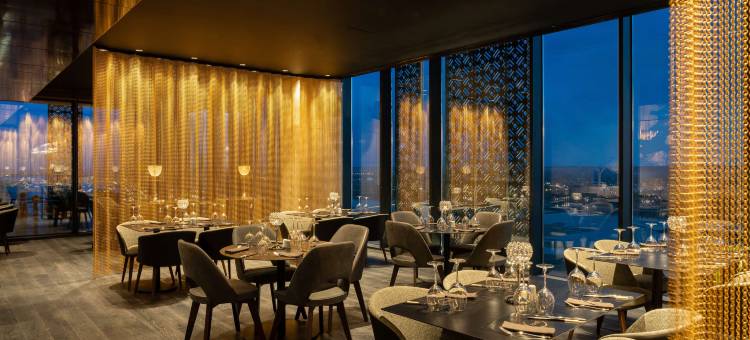 尼亚美丽笙蓝标酒店及会议中心(Radisson Blu Hotel Niamey)图片