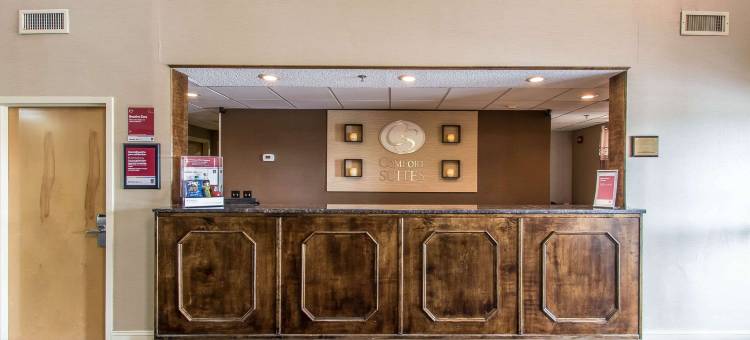 里奇蒙舒适套房酒店(Comfort Suites)图片