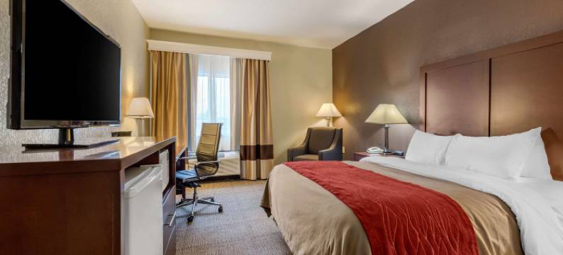 沃伦 I-69 舒适酒店(Comfort Inn Warren I-69)图片