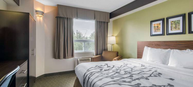 安眠酒店(Sleep Inn)图片