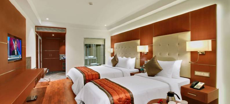 因希斯舒适酒店(Comfort Inn Insys)图片