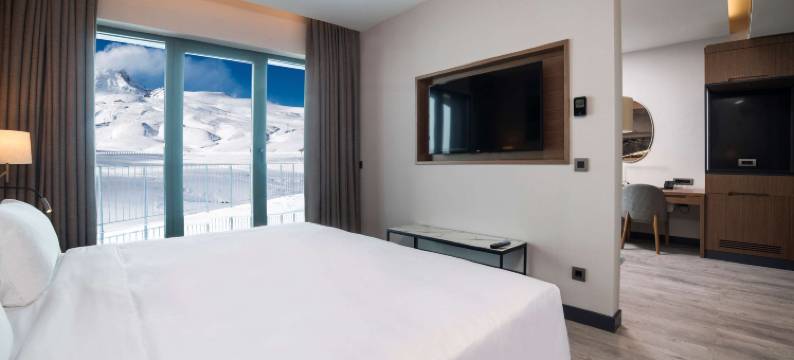 埃尔西耶斯山丽笙酒店(Radisson Blu Hotel, Mount Erciyes)图片