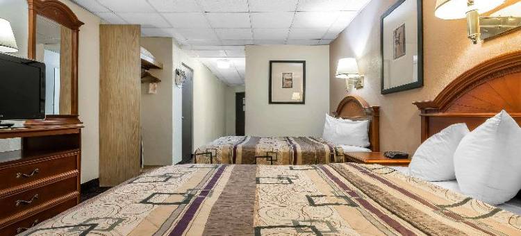 宾厄姆顿维斯塔尔凯艺套房酒店(Quality Inn & Suites Binghamton Vestal)图片