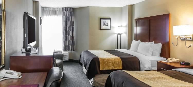 五角大楼城舒适酒店(Comfort Inn Pentagon City)图片