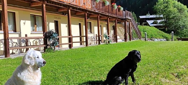 赖斯小屋酒店(Chalet du Lys Hotel & SPA)图片