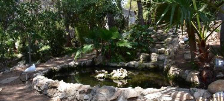 Villa Garden图片