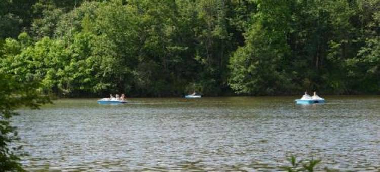 Lakewood Park Campground - Luxury Cabin图片
