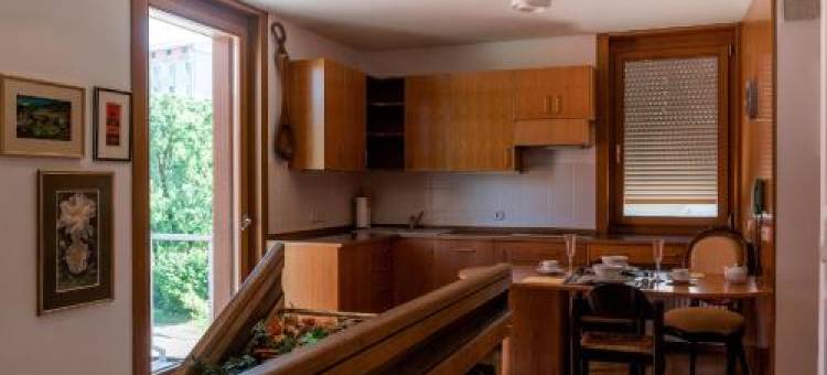 公寓(Rožna Dolina Apartment)图片