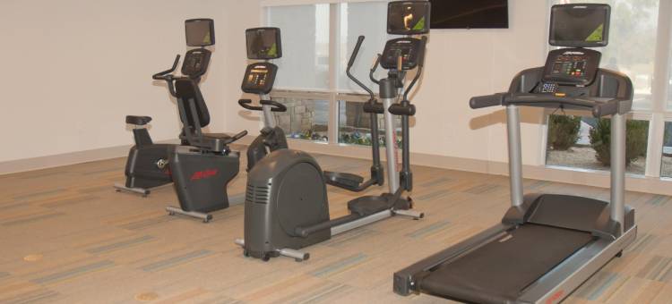 智选假日套房酒店迪凯特 by IHG(Holiday Inn Express & Suites Decatur by IHG)图片