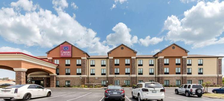 杰克逊I-40舒适套房酒店(Comfort Suites Jackson I-40)图片