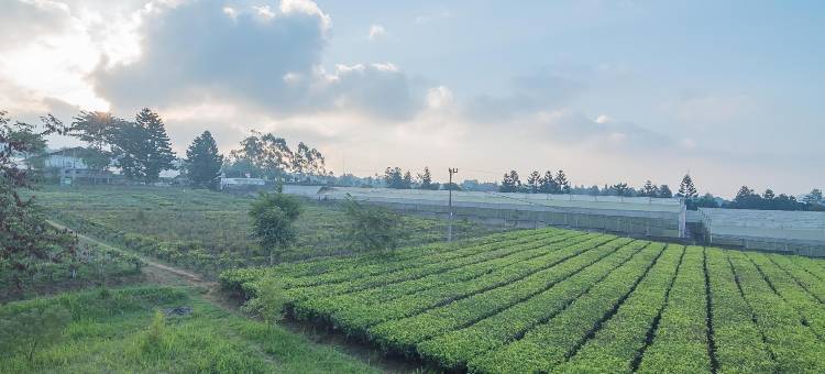 红多兹伊斯兰酒店-沙龙盖奇昂朱尔(RedDoorz Syariah @ Sarongge Cianjur)图片