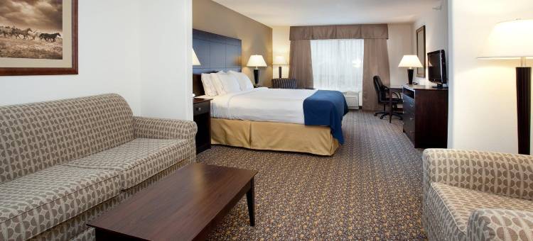 智选假日套房酒店兰德(Holiday Inn Express & Suites Lander)图片