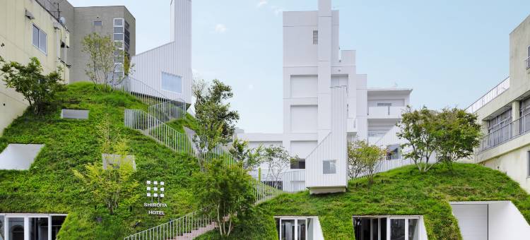 白井屋酒店(Shiroiya Hotel)图片