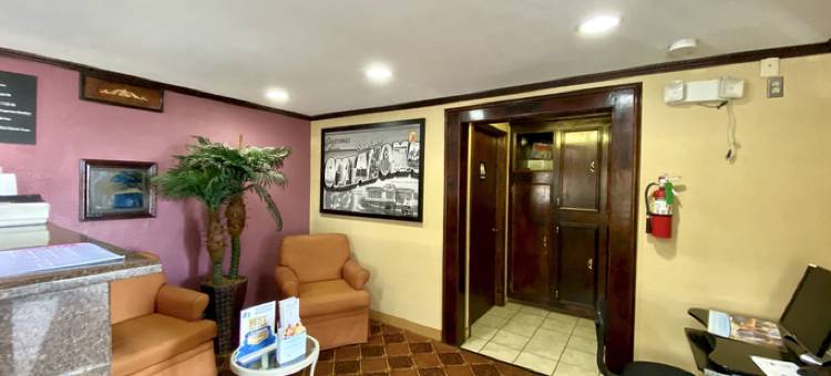 肖尼速8酒店(Super 8 by Wyndham Shawnee)图片