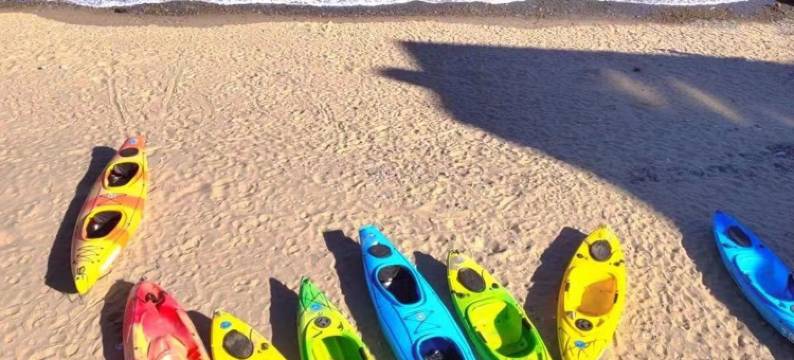 白沙岛花开半夏民宿图片