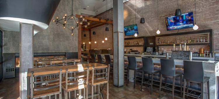 温德姆商标精选O酒店(The O Hotel, Trademark Collection by Wyndham)图片