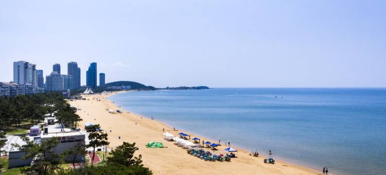 百合花海景民宿(沈阳路1号分店)图片