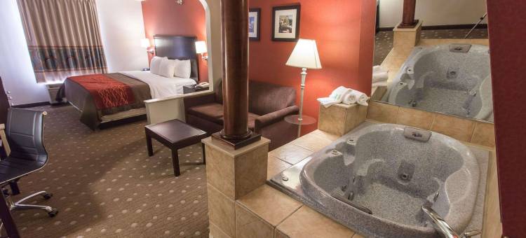 匹兹堡舒适酒店(Comfort Inn)图片