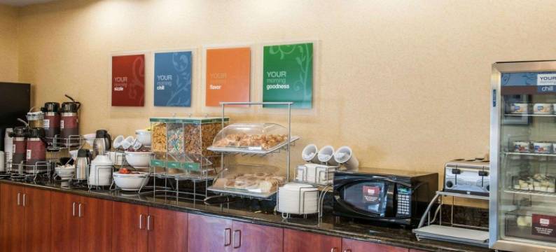 舒适套房酒店-近印第安纳波利斯机场(Comfort Suites Near Indianapolis Airport)图片