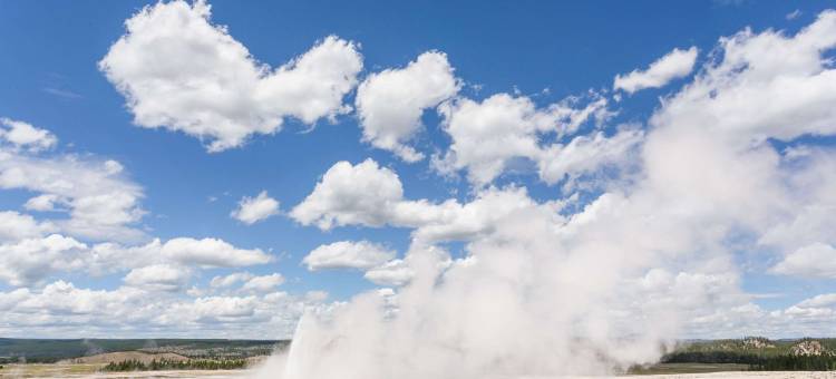 温德姆库克速8黄石公园旅馆(Super 8 by Wyndham Cooke City Yellowstone Park Area)图片