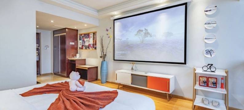 房东CindyZ公寓(一环路南一段分店)图片