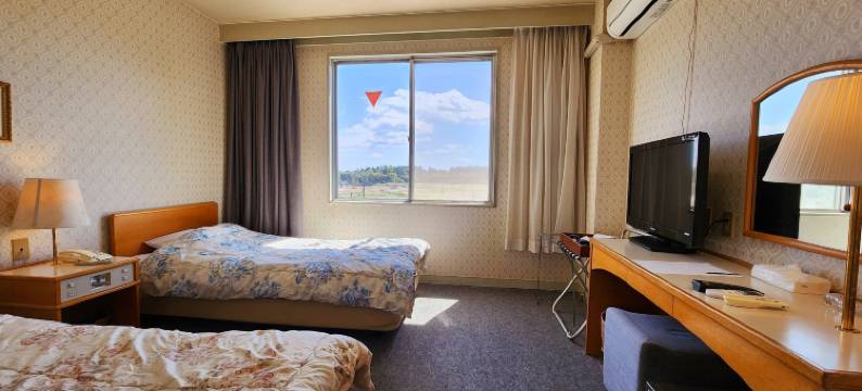 大金温泉旅店(Oganeonsen Grand Hotel)图片