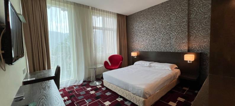 SSL商贸酒店(SSL Traders Hotel)图片