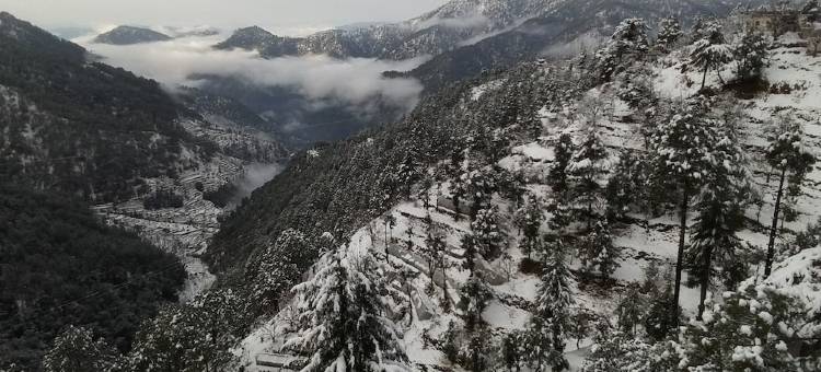 克拉克艾斯索堤卡拉姆格尔酒店(Clarks Exotica Resort Ramgarh Mukteshwar)图片