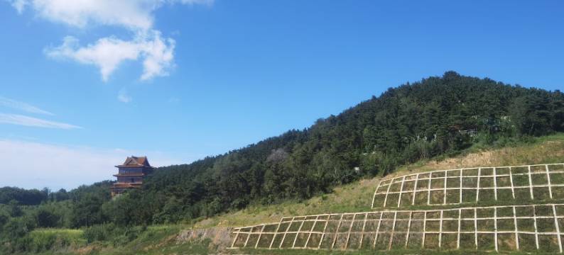 悦海民宿(柴峰路分店)图片