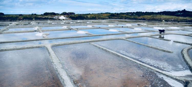 宜必思快捷圣纳泽尔中心火车站酒店(2022 年 5 月开业)(Ibis Budget Saint Nazaire Centre Gare)图片