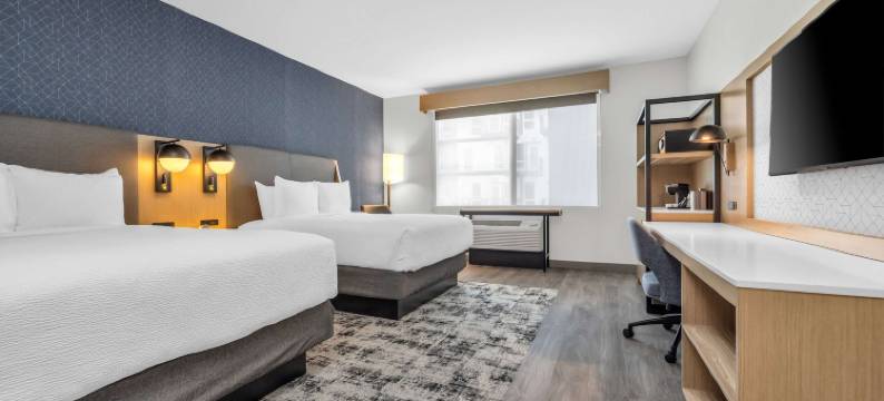 圣何塞硅谷温德姆拉昆塔套房酒店(La Quinta Inn & Suites by Wyndham San Jose Airport-Downtown)图片