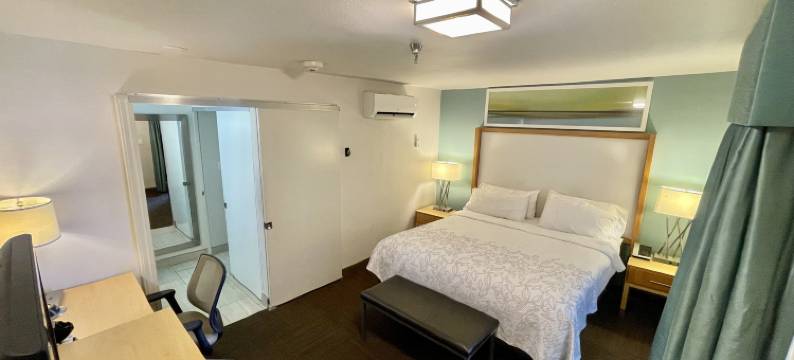 坦帕红屋顶普拉斯套房酒店(Red Roof PLUS+ & Suites Tampa)图片