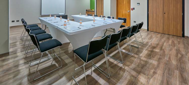 墨西卡利万豪城市快捷普拉斯酒店(City Express Plus by Marriott Mexicali)图片