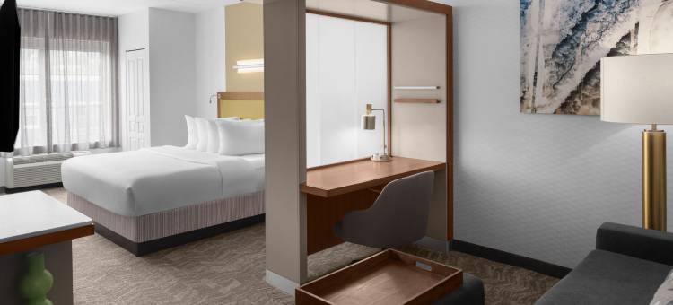 匹兹堡南部沃克斯万豪SpringHill酒店(SpringHill Suites Pittsburgh Southside Works)图片