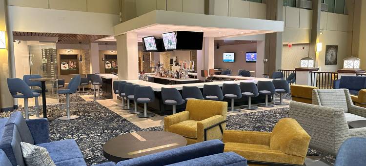 苏福尔斯市中心假日酒店(Holiday Inn Sioux Falls-City Centre)图片