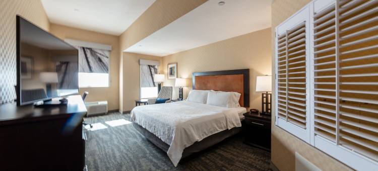 里弗波特列治文智选假日套房酒店(Holiday Inn Express & Suites Riverport Richmond)图片