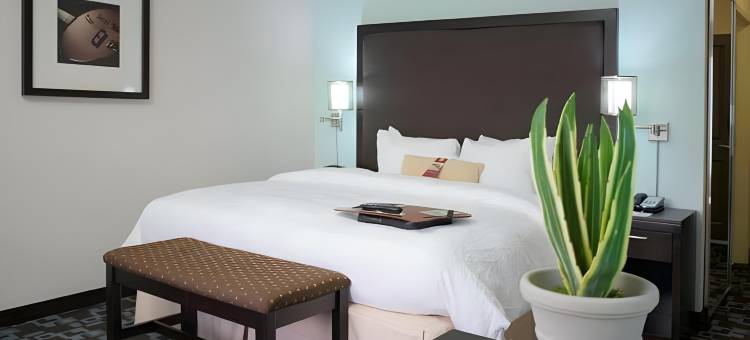 纳什维尔欧普兰欢朋酒店(Hampton Inn & Suites Nashville @ Opryland)图片