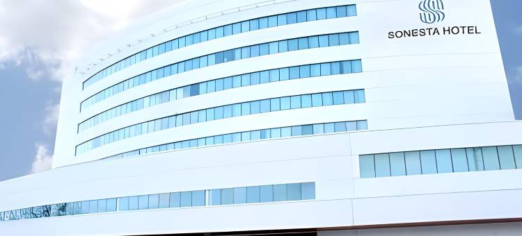 奥索尔诺索尼斯塔酒店(Sonesta Hotel Osorno)图片