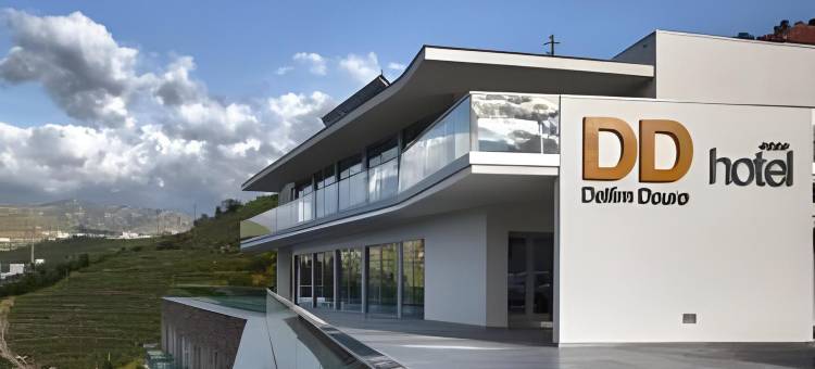 德尔芬杜罗酒店(Delfim Douro Hotel)图片