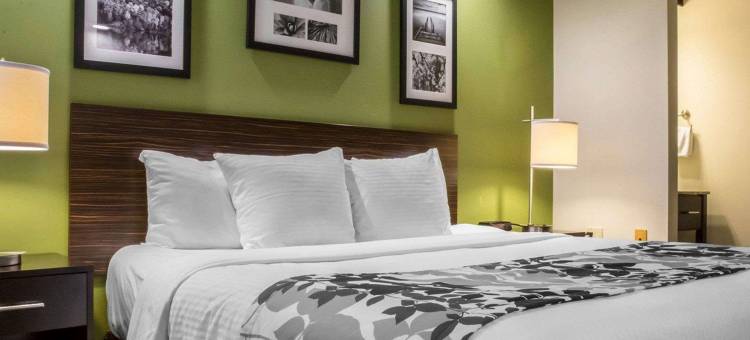 布雷斯桥斯利普酒店(Comfort Inn)图片