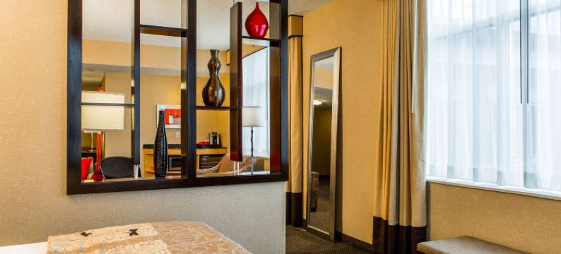 罗利达勒姆机场坎布里亚酒店(Cambria Hotel Raleigh-Durham Airport)图片