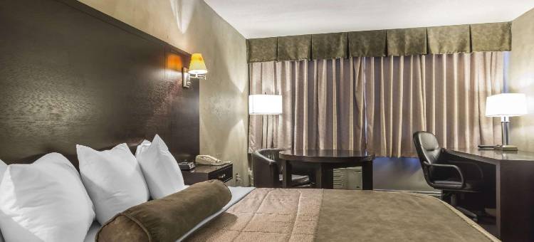 会议中心品质酒店(Quality Hotel & Conference Centre)图片