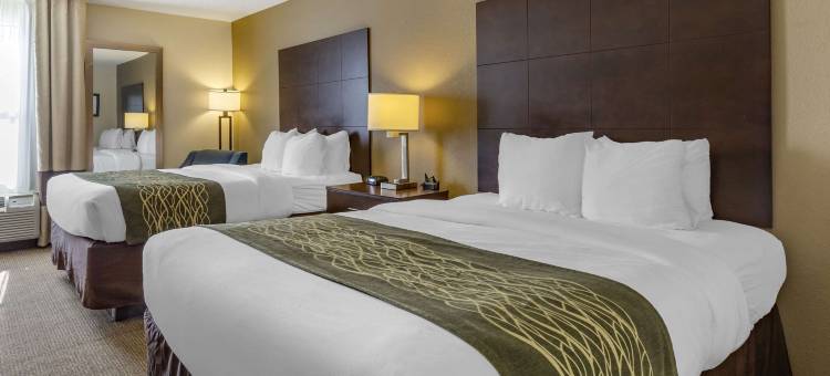 舒适酒店(Comfort Inn)图片