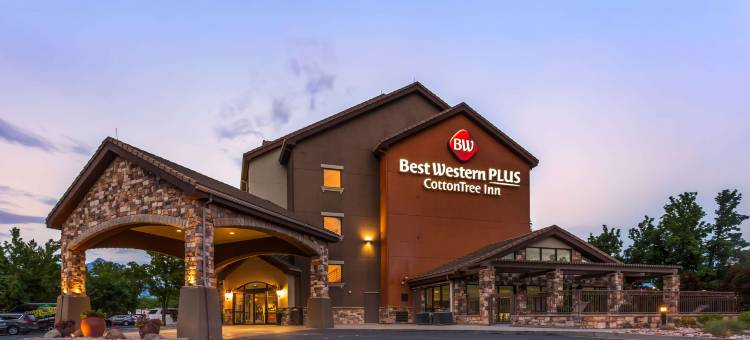 山迪木棉树贝斯特韦斯特优质酒店(Best Western Plus Cotton Tree Inn)图片