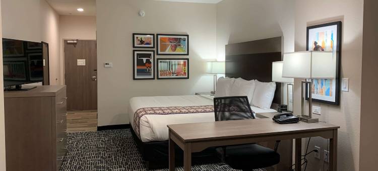 德克萨斯雷德奥克IH-35E拉昆塔温德姆套房酒店(La Quinta Inn & Suites by Wyndham-Red Oak TX IH-35E)图片