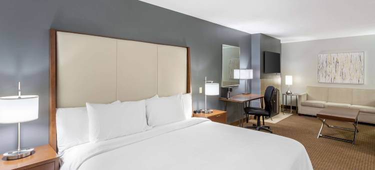 木棉树贝斯特韦斯特优质酒店(Best Western Plus CottonTree Inn)图片