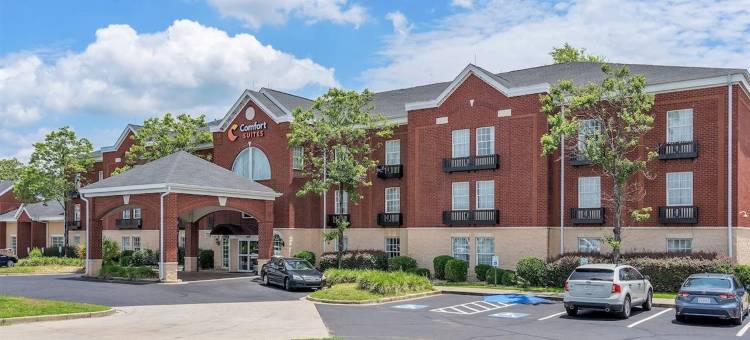 舒适套房酒店(Comfort Suites)图片