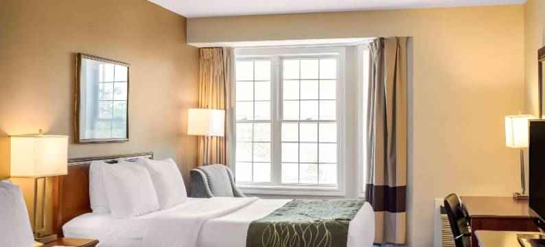 舒适酒店(Comfort Inn)图片